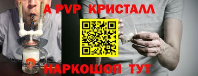 прущие грибы Усть-Джегута