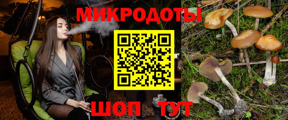 Галлюциногенные грибы Cubensis  Галлюциногенные грибы мицелий  Тула  Вход с VPN 